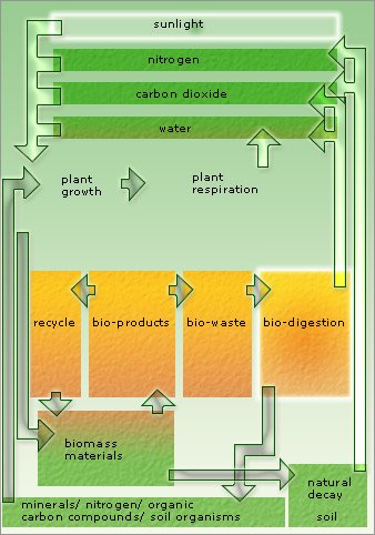 the bio-digestive system